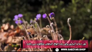 کود گیاهان گل زینتی