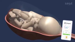 انیمیشن زایمان طبیعی