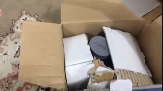 یکی از خریداران مکمل گلوتامین کارن 193 از وبسایت تمرینو