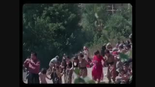 فیلم درخت گردو