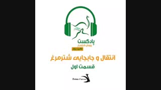 انتقال و جابجایی شترمرغ-قسمت او