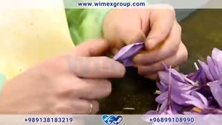 فروش عمده زعفران صادراتی نگین ممتاز با کیفیت عالی و قیمت مناسب