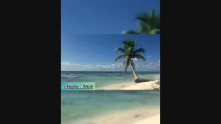 مسئولیت پذیری