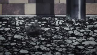 انیمه Jujutsu Kaisen قسمت 3 با زیرنویس فارسی