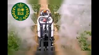 سمپاشی حرفه ای در گلخانه های صنعتی و پیشرفته
