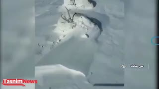 اینجا دنا و زاگرس نیست