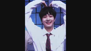 جوجه هایی که من را شهید کردند .....