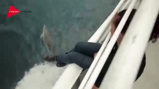 آشنایی با کشور نیوزیلند شهر اوکلند قسمت ۱ موسسه سورنا ویزا Sorena Visa