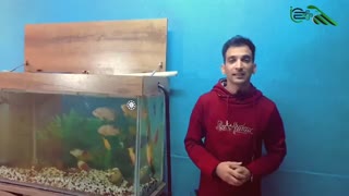 تنوع سنسور تصویر در دوربین مداربسته