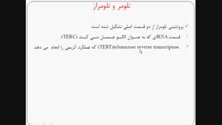 جلسه دوازدهم