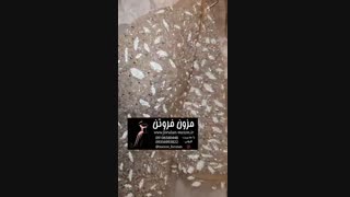 لباس عروس جدید از مزون فروتن