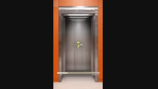 پادکست آسانسورهای گیرلس و روملس