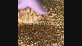 قیمت لپه فله در کارخانه تولید لپه