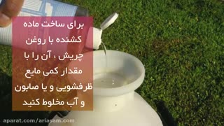 چگونه در سریع ترین زمان ممکن از شر مورچه ها خلاص شویم؟ | سم مورچه کش خارجی