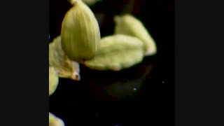 خرید عطر مردانه کورنلیا