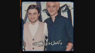 ویدیو هری پاتر،دوست صمیمی