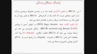جلسه چهاردهم