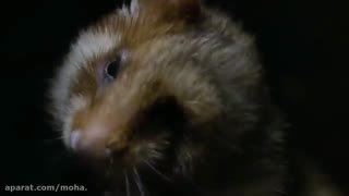 دنیای کوچک 3