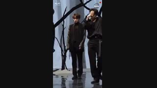 فوکوس روی جین اجرا بلک سوان