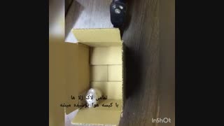 بسته بندی محصولات