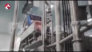 محصولات پی پر پت