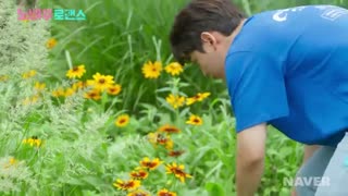 قسمت چهارم وب درام no going back romance+زیرنویس فارسی آنلاین