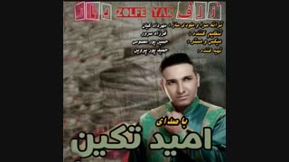 دانلود آهنگ جدید و شاد  امید تکین به نام زلف یار