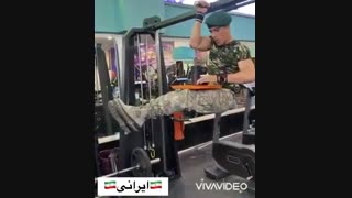 تکاور ایرانی‌ یا آمریکایی