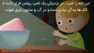 از بین بردن کک ها با سرکه | سم قوی برای نابودی کک