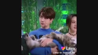 wang yibo....عا گربه رو باش:/خدایا منو پیشی هم نکردی:/وای چه کایوتهه لعنتی:)