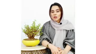 نکات ابتدایی URL