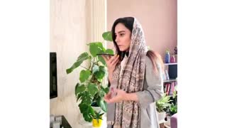 قسمت هفتم: سوال بی ربط آقای فلانی
