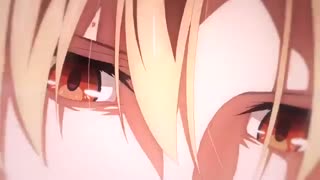Fate/Grand Order/AMV -the last of the real ones