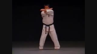 آموزش کیوکوشین - بخش اول