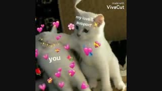 حتما دنبال شن خوجملای من^~^کپشن*-*♡