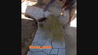 اجرای قالب سیمان کاری