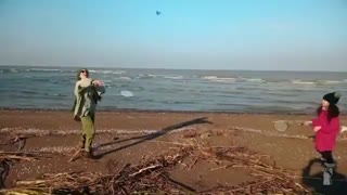 دانلود آهنگ جدید مهدی یراحی عکس شد