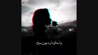 هرجا میرم به فکرتم...