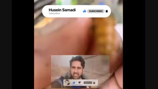 آموزش زنبورداری | نحوه تغذیه زنبور عسل در زمستان گذارنی و شروع زنبورداری |  کانال یوتیوب