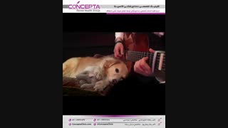 محبت همه چیز را شکست می‌دهد و خود شکست نمی‌خورد | کلینیک دندانپزشکی کانسپتا