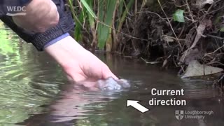 روش نمونه برداری آب از رود خانه و نهر - آزمایشگاه آب شرکت آب راهبر