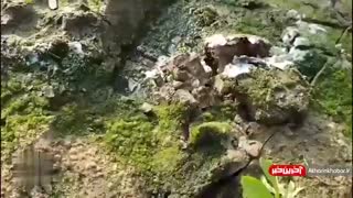 ماهی هایی که در خاک  زندگی میکنند!!!!!!!