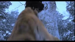 The Taking of Tiger Mountain 2014 trailer