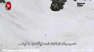 مشاهده یک پاگندهء بزرگ در کوههای بریتیش کلمبیا،کانادا (شکار دوربین _ قسمت 7)