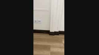 نصب قرنیز پی وی سی