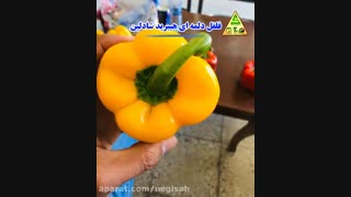 بذر فلفل دلمه پادرا و شادلین - شرکت کشاورزی حاتم