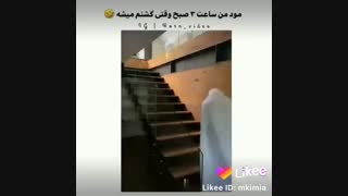 مود من وقتی ساعت 3 صبح یهو گشنم میشه )