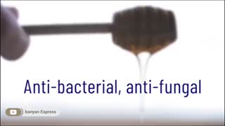 خاصیت های منحصر به فرد عسلProperties of delicious honey Banyan Express