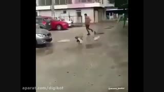 عجب  یک ویدئو  طنز و عجیب آوردم