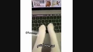 من به شخصه برای هیتر ها ۲۳۷۳۷۳۸۲۸۲۸۷ عدد پرونده و انگشتم ولی پیدا نکردم متاسفم :/